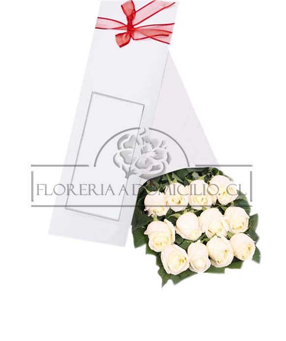 12 Rosas Blancas en Caja